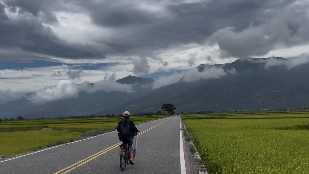 台東池上－伯朗大道