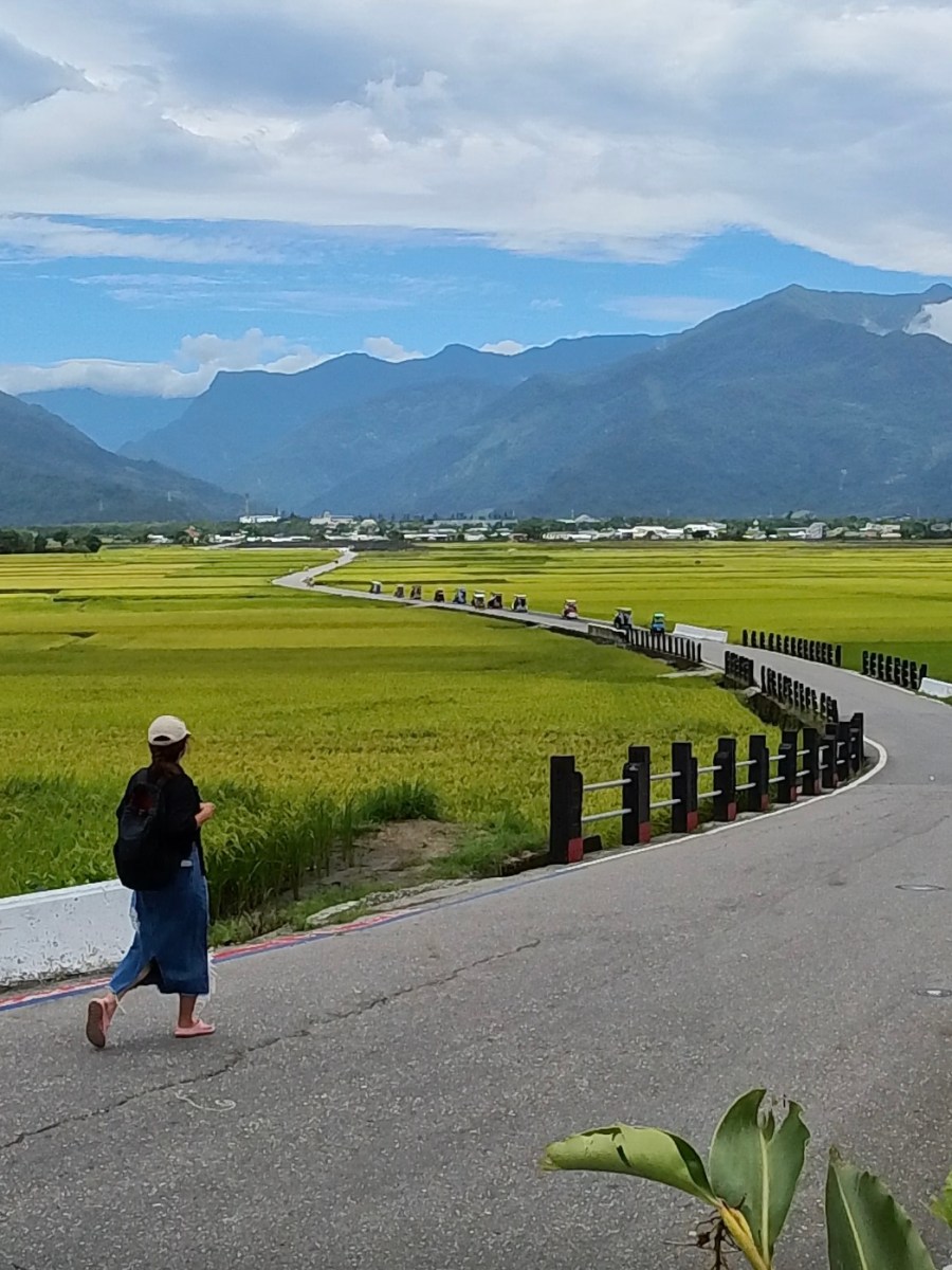 台東池上火車旅行攻略｜伯朗大道・天堂路・環鄉自行車道路線攻略｜台鐵火車旅行 | Chishang Scenic Train & Cycling Route&nbsp;Guide